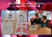 Anatomia dla najmłodszych- grupa 5 latków - 2