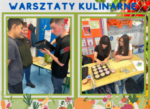 Kopia – Kopia – Kopia – Kopia – Kopia – Kopia – Kopia – Kopia – Kopia – Kopia – Kopia – Kopia – Kopia – Kopia – Kopia – Kopia – Kopia – Kopia – Kopia – Kopia – Kopia – Kopia – Kopia – Kopia – Kopia – Kopia – Kopia – Kopia – Kopia – Kopia – Kopia – Kopia – - 5