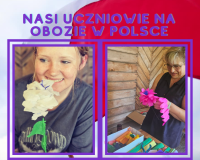 Skansen w Nowogrodzie