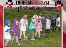 Kopia – Kopia – Kopia – Kopia – Kopia – Kopia – Kopia – Kopia – Kopia – Kopia – Kopia – Kopia – Kopia – Kopia – Kopia – Kopia – Kopia – Kopia – Kopia – Kopia – Kopia – Kopia – Kopia – Kopia – Copy of Copy of Kopia – Copy of Kopia – Copy of Kopia – Copy of - 14